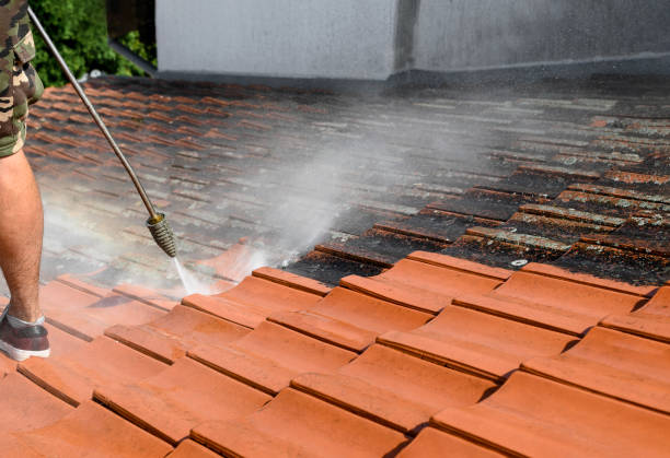Best Best Pressure Washing Companies  in Greenport West, NY